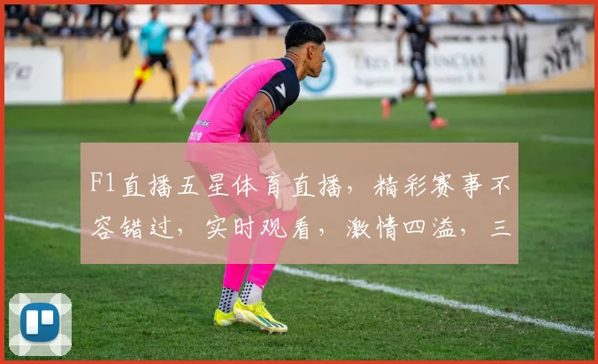 F1直播五星体育直播，精彩赛事不容错过，实时观看，激情四溢，三重精彩，尽在掌握