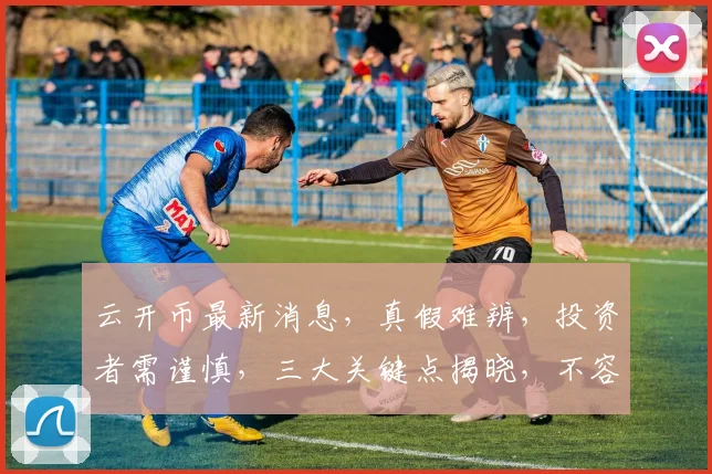 云开币最新消息，真假难辨，投资者需谨慎，三大关键点揭晓，不容错过