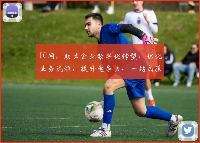 IC网，助力企业数字化转型，优化业务流程，提升竞争力，一站式服务，成就卓越企业。