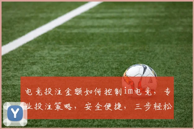 电竞投注金额如何控制im电竞，专业投注策略，安全便捷，三步轻松实现。